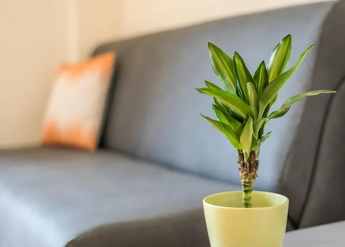 Guestready - Musichall Appartement *