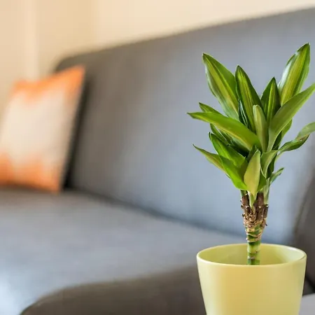 Guestready - Musichall 아파트 *